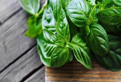 basil remedy