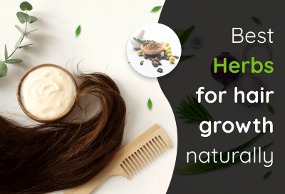 10 Best Herbs That Prompt Hair Growth Naturally